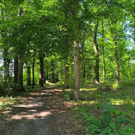 Herrenhaus Harmshagen * Testorf-Steinfort