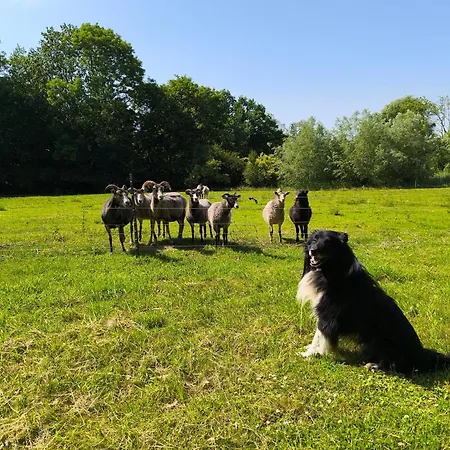 Herrenhaus Harmshagen Appartement Testorf-Steinfort