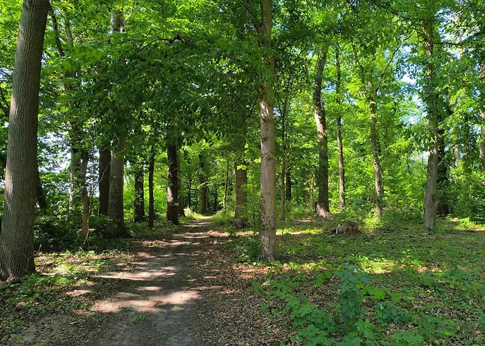 Herrenhaus Harmshagen * Testorf-Steinfort